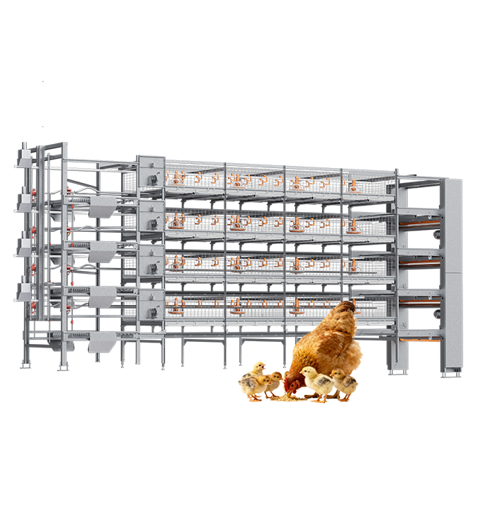 Produtos de frango de corte