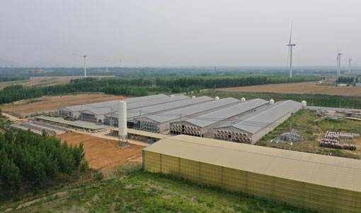 Projeto de gaiolas para postura de ovos Qingdao GaoTianRan