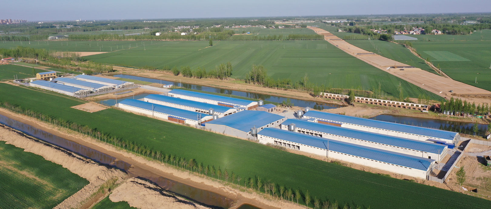 Projeto de cultivo em gaiola de camada TianYuan