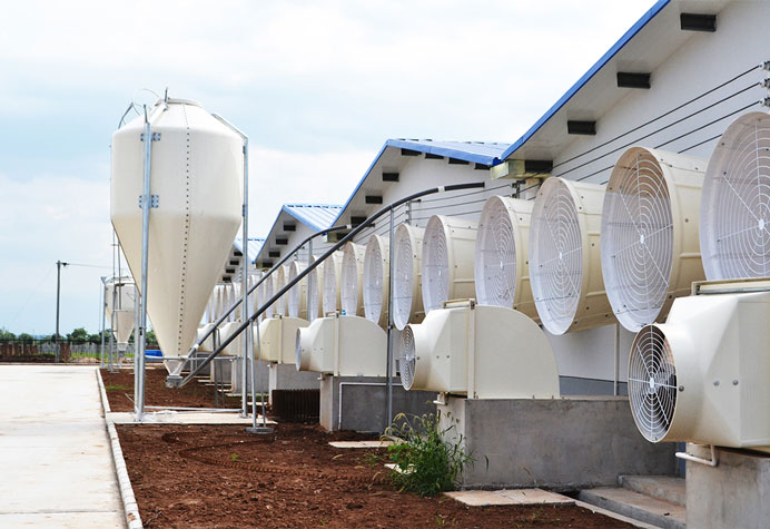 linha de alimenta&ccedil;&atilde;o transportando
