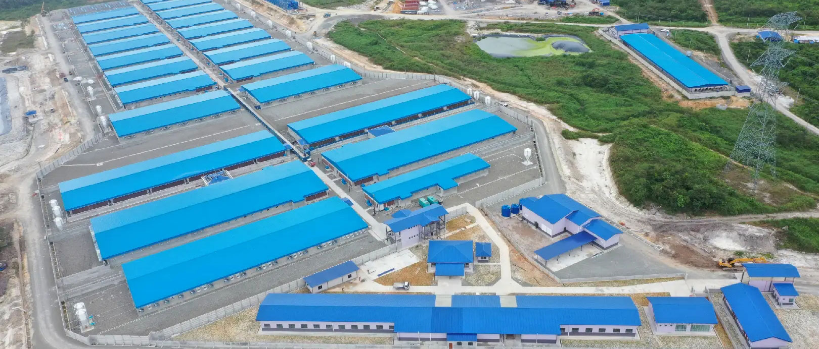 Projeto de cria&ccedil;&atilde;o de 2.000 porcas na Mal&aacute;sia