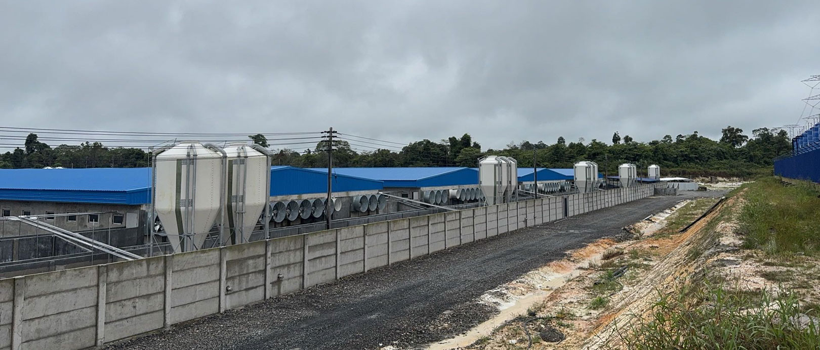 Projeto de cria&ccedil;&atilde;o de 2.000 porcas na Mal&aacute;sia