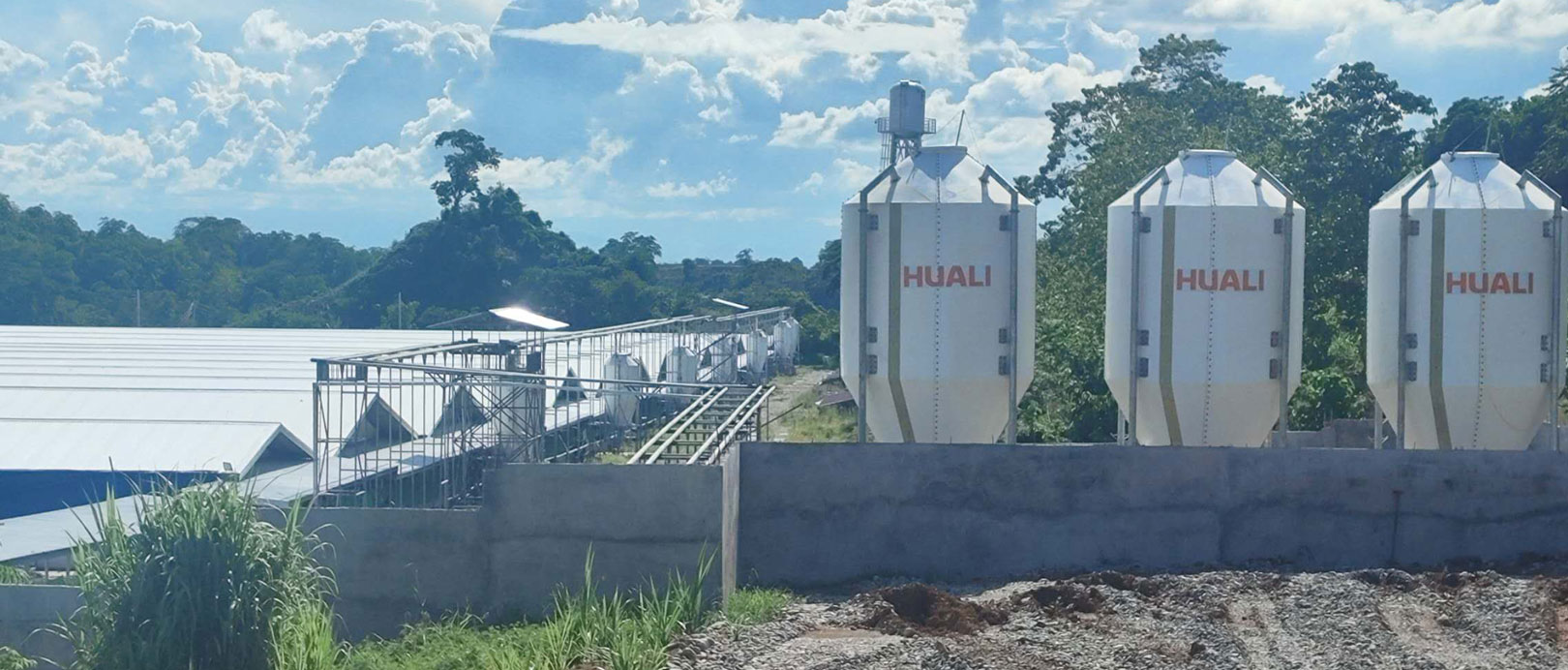 Projeto de cria&ccedil;&atilde;o de 3.000 porcas nas Filipinas