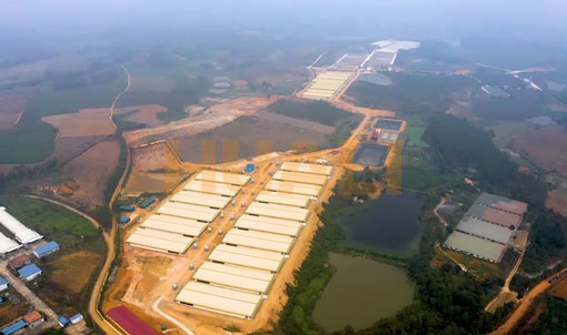 Projeto de Fazenda de Engorda do Vietn&atilde;