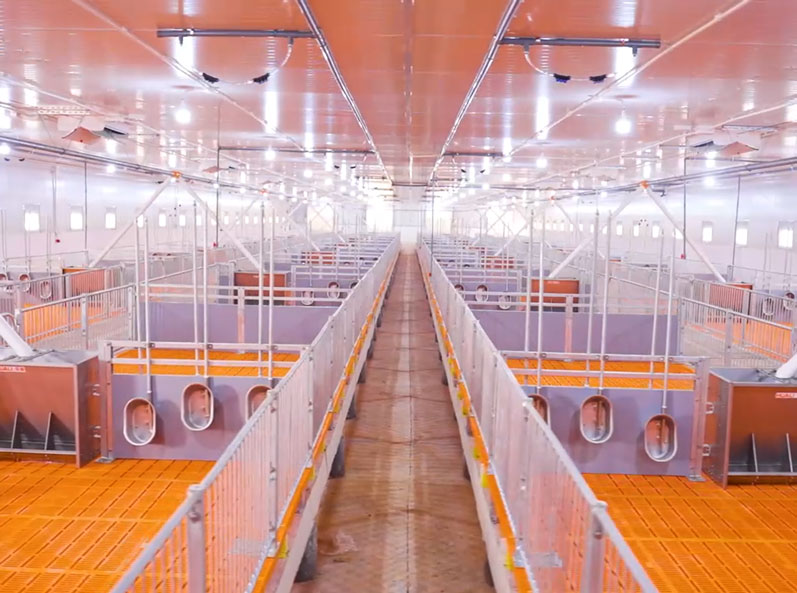 Projeto de Fazenda de Engorda do Vietnã