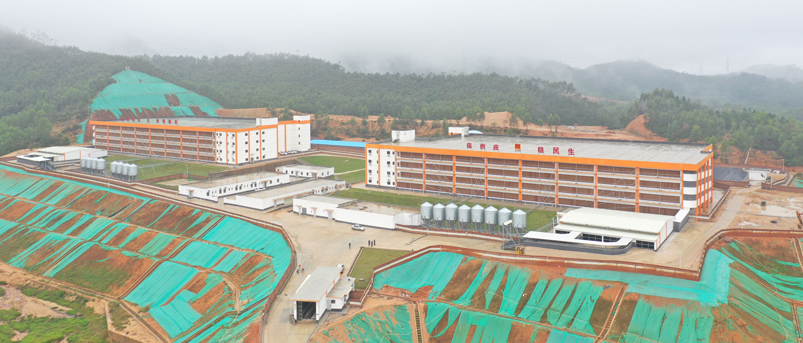 Projeto de cria&ccedil;&atilde;o de su&iacute;nos de v&aacute;rios andares em Jinxinnong, Guangdong
