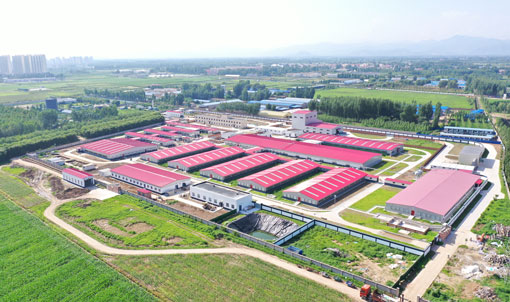 Base Experimental do Projeto de Pecu&aacute;ria CAU de Zhuozhou, Hebei