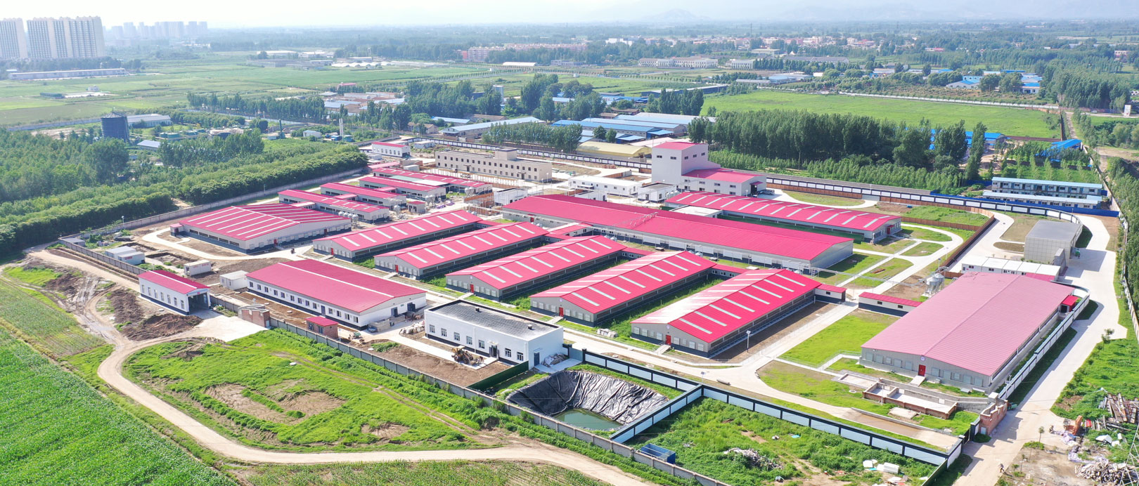 Base Experimental do Projeto de Pecu&aacute;ria CAU de Zhuozhou, Hebei