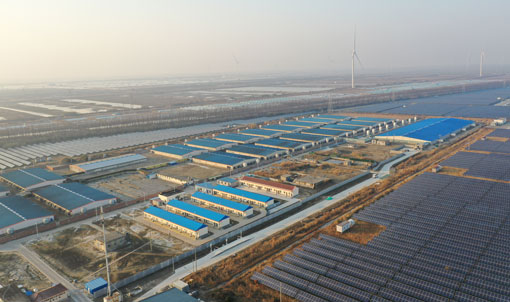 Projeto de Fazenda de Engorda COFCO de Dongtai, Jiangsu