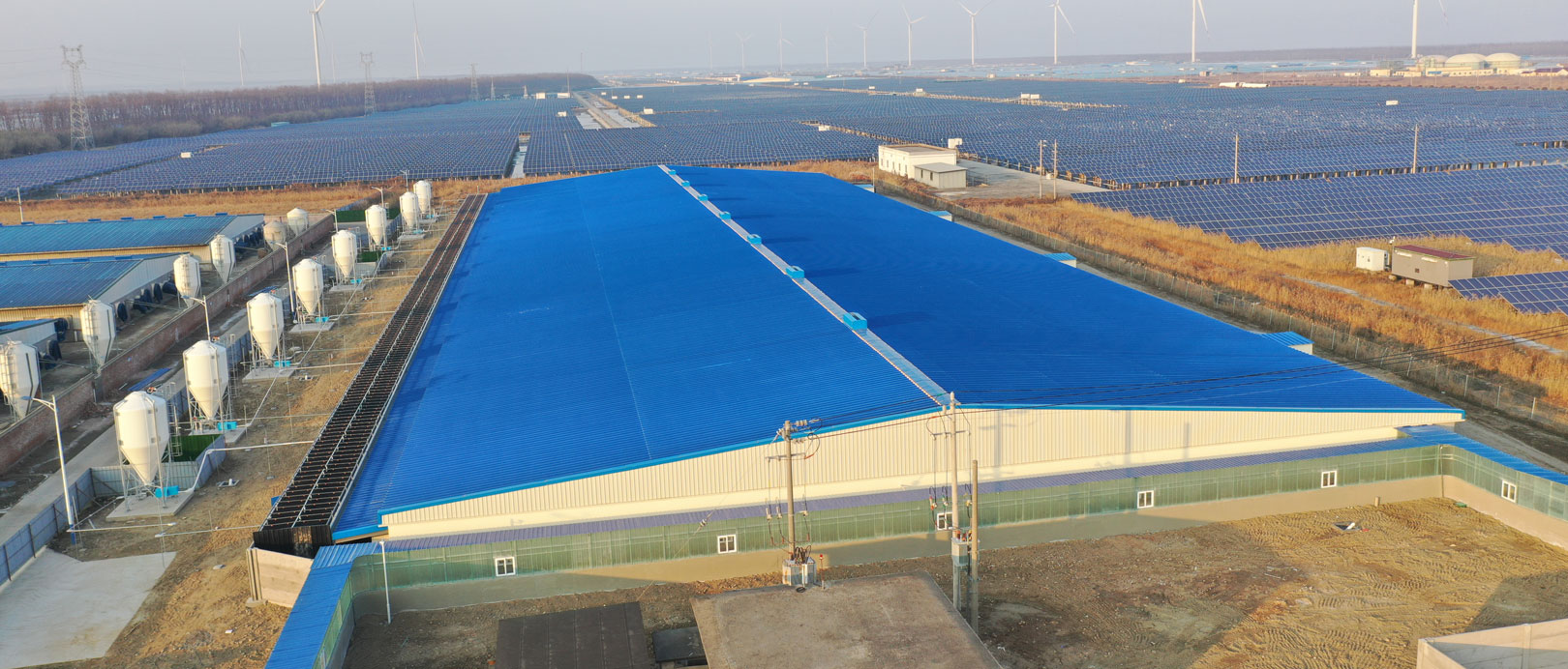 Projeto de Fazenda de Engorda COFCO de Dongtai, Jiangsu