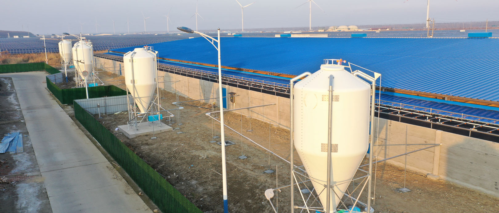 Projeto de Fazenda de Engorda COFCO de Dongtai, Jiangsu
