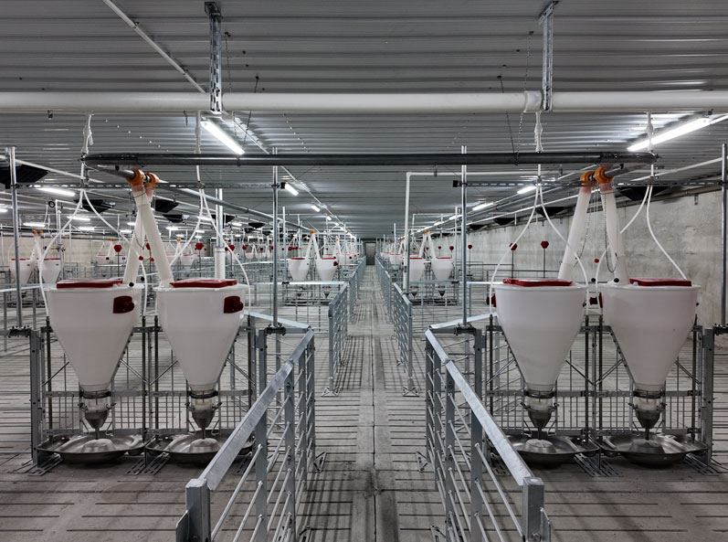 Projeto de Fazenda de Engorda COFCO de Dongtai, Jiangsu