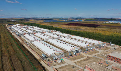 Fazenda de engorda Keyou Qianqi