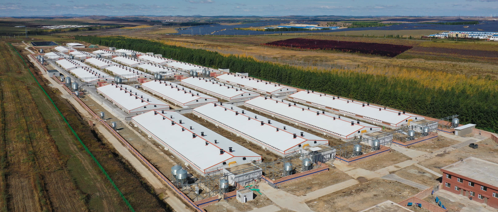 Fazenda de engorda Keyou Qianqi