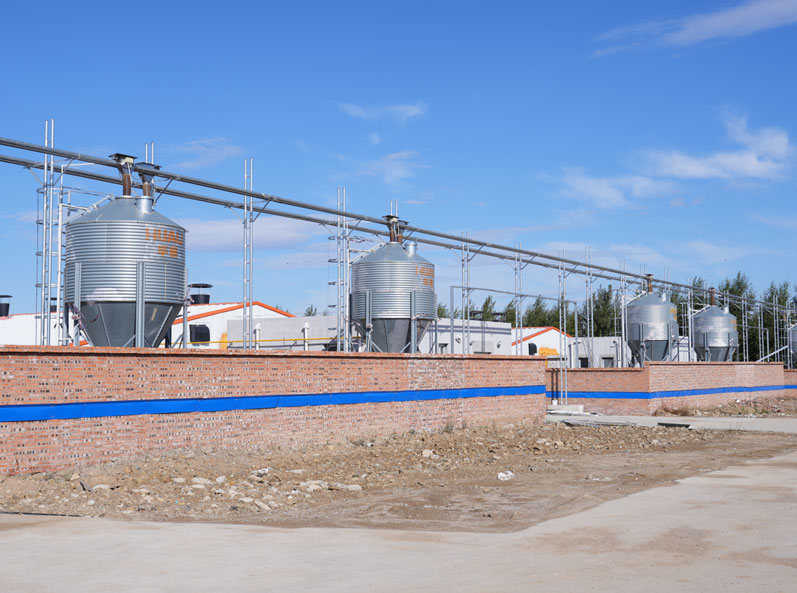 Fazenda de engorda Keyou Qianqi