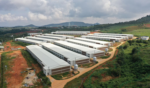 Projeto de eleva&ccedil;&atilde;o de piso de camada dupla de frangos de corte WENS