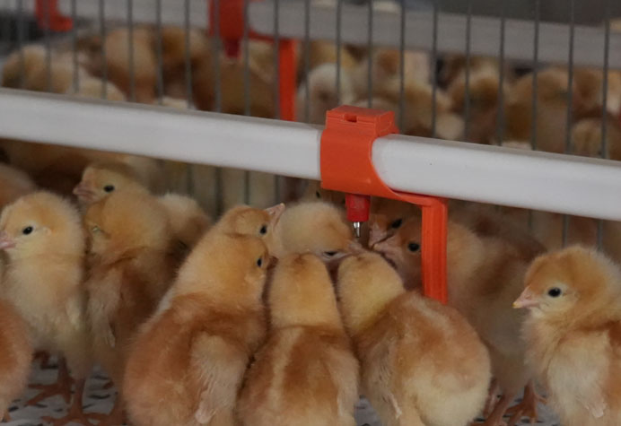 Sistema de tubula&ccedil;&atilde;o de &aacute;gua