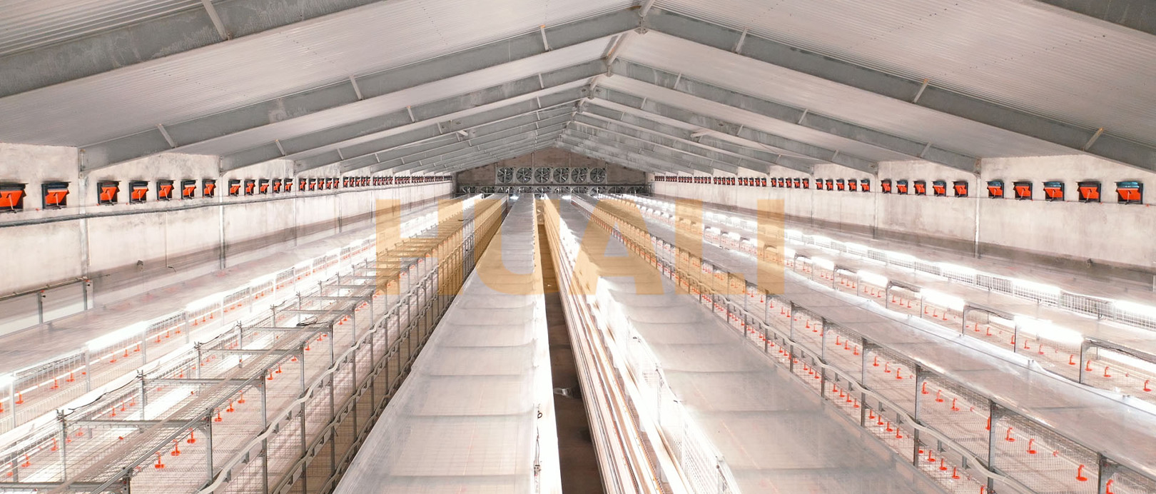 Projeto de cultivo em gaiolas de frangos de corte de Shandong