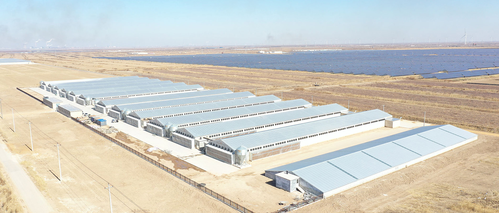 Projeto de cultivo em gaiolas de frangos de corte de Shandong