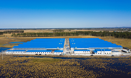 Projeto de cultivo em gaiola de frango Fuxin Shuanghui