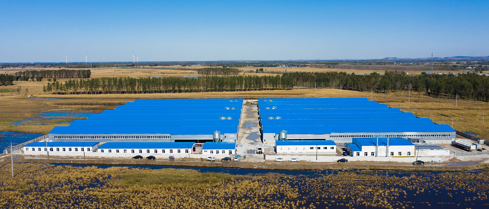 Projeto de cultivo em gaiola de frango Fuxin Shuanghui