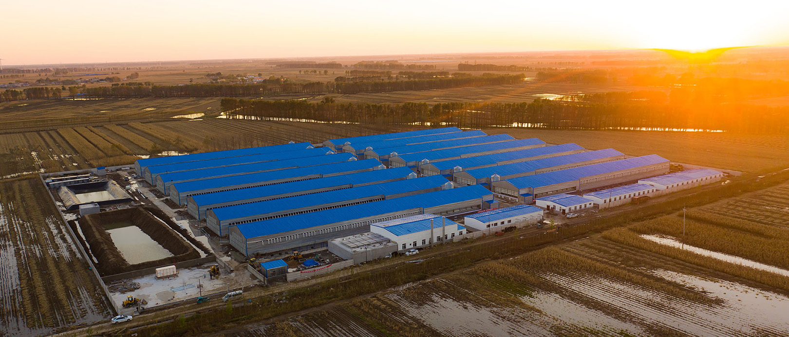 Projeto de cultivo em gaiola de frango Fuxin Shuanghui