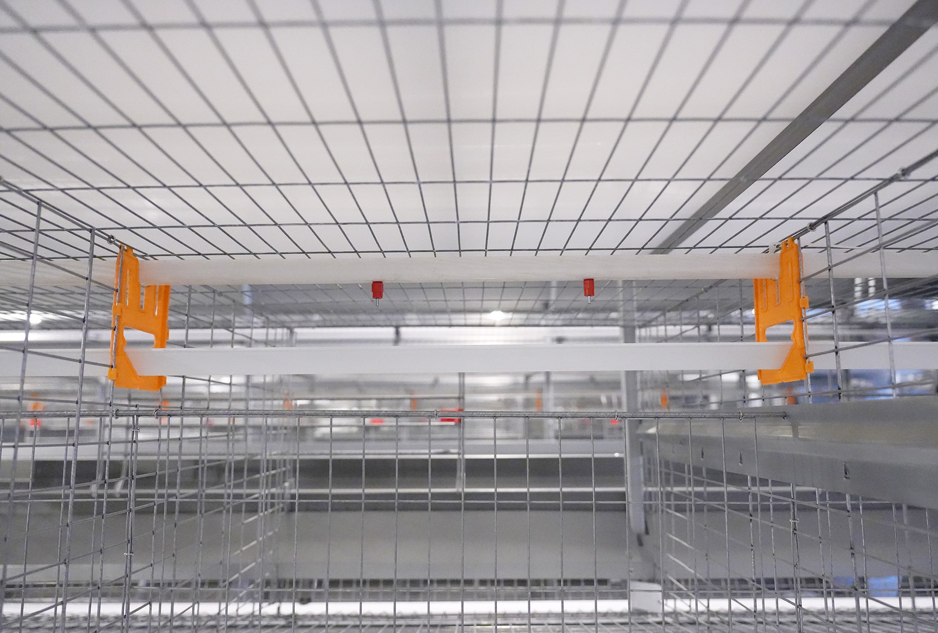 Guigang Tongfa Projeto de cria&ccedil;&atilde;o de poedeiras em toda a cadeia industrial de 3,6 milh&otilde;es de aves