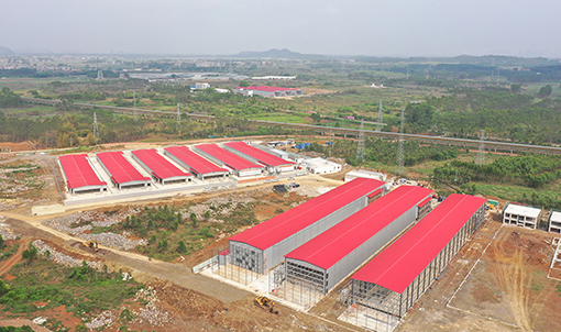 Guigang Tongfa Projeto de cria&ccedil;&atilde;o de poedeiras em toda a cadeia industrial de 3,6 milh&otilde;es de aves