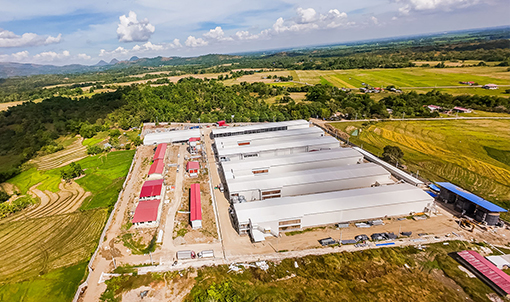 Projeto de cultivo em gaiolas de camadas nas Filipinas