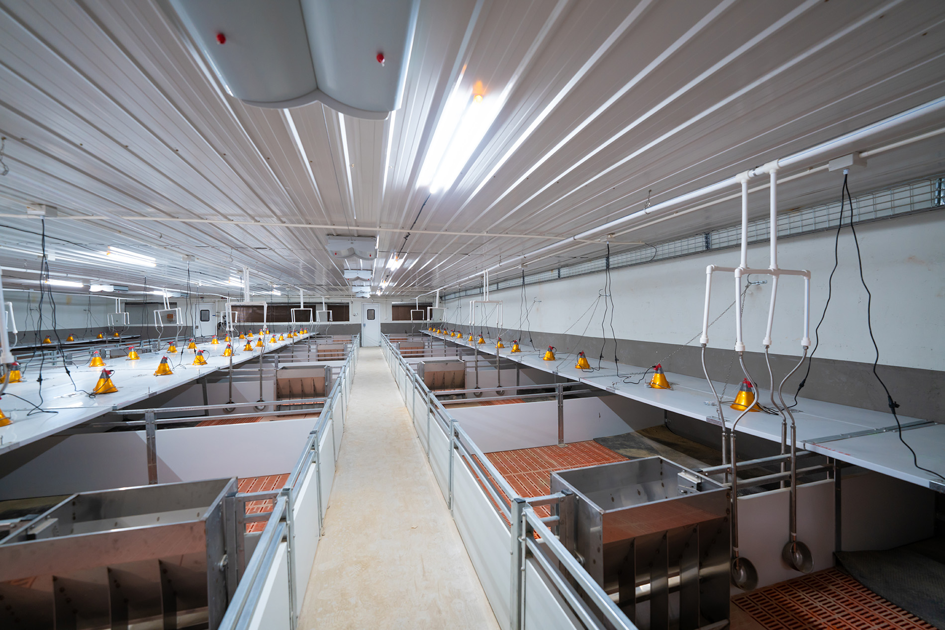 Projeto EPC da Fazenda Aonong 10.000 Sows