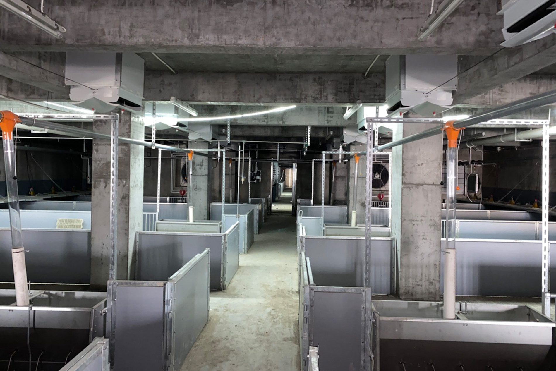 O projeto de constru&ccedil;&atilde;o de v&aacute;rios andares Dekon