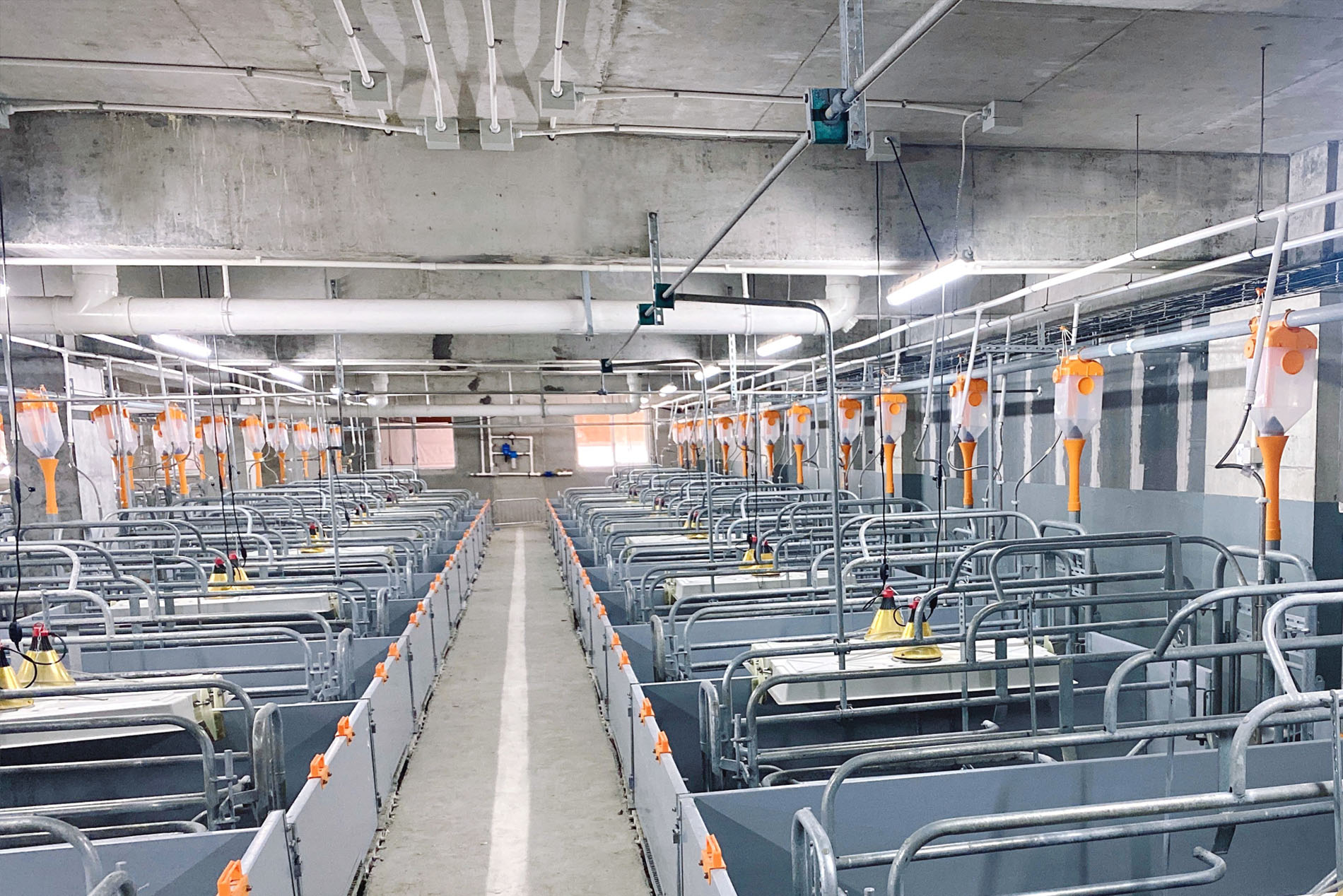 O projeto de constru&ccedil;&atilde;o de v&aacute;rios andares Dekon